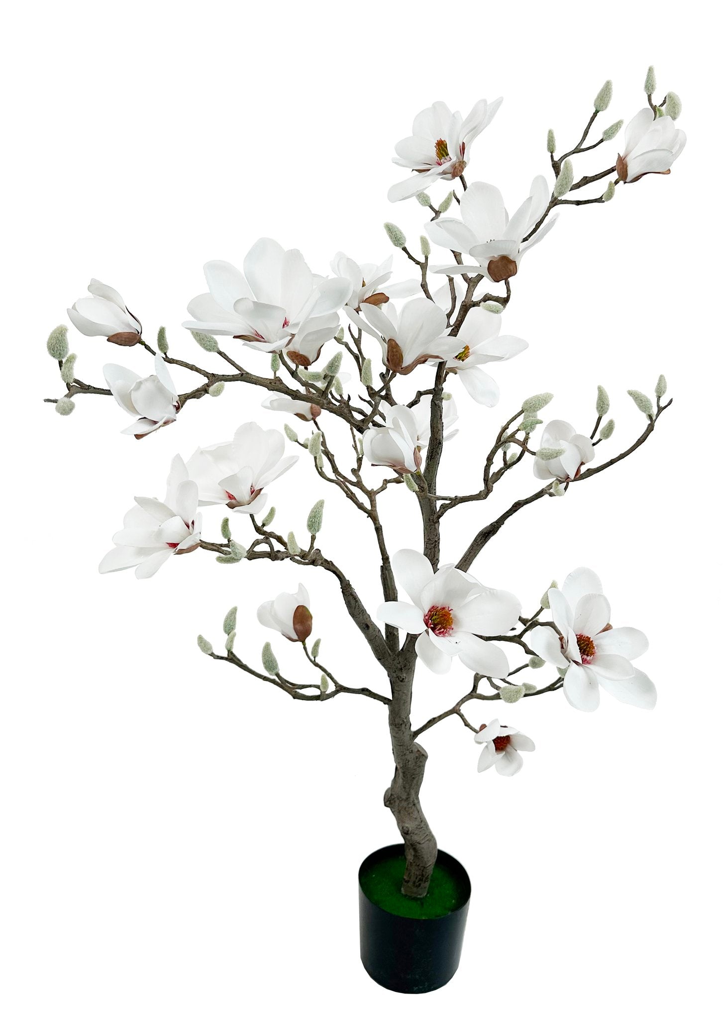 Magnolia træ i potte – Hvid, 180 cm by ShiShi