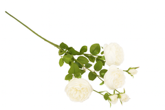 Kunstig Rosengren Hvid 65 cm by Geliu Sala