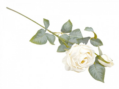Kunstig rose elegant og naturtro blomst by Geilu Sala