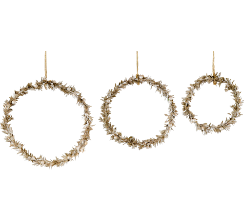 Kranse med Blade – Sæt af 3 (18 x 18 x 3 cm, 23 x 23 x 3 cm, 26 x 26 x 3 cm) by Hoff