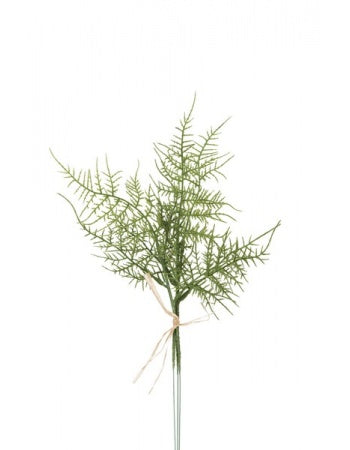 Plumosus grene 3 stk. á 35 cm grøn by PH