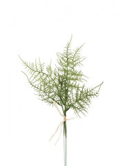 Plumosus grene 3 stk. á 35 cm grøn by PH