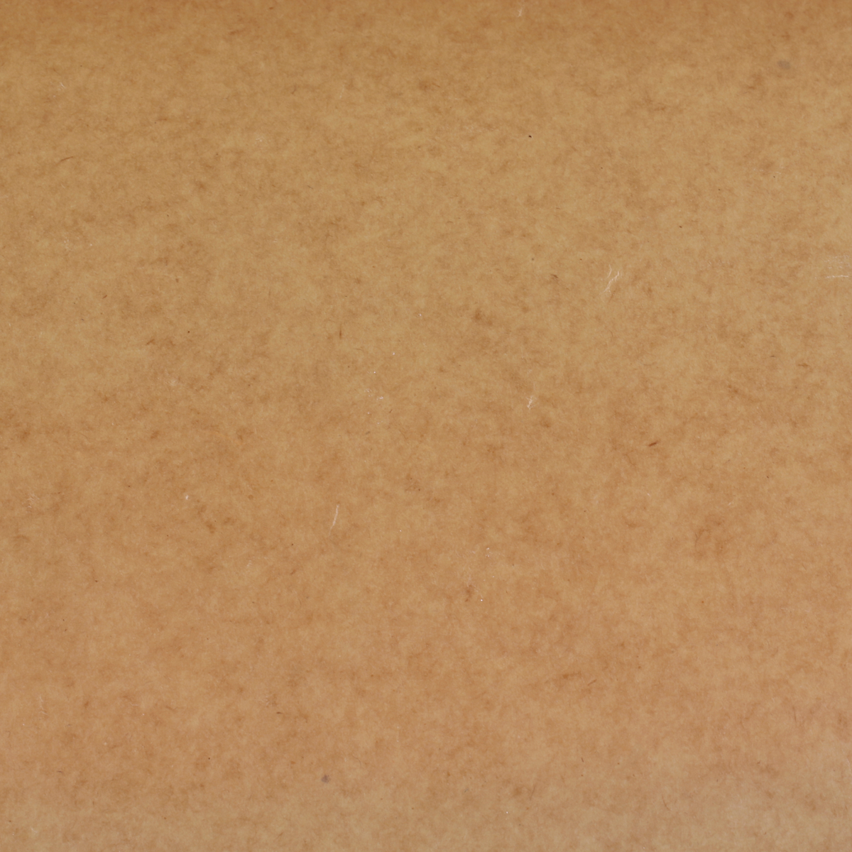 Wax Paper L10 m/W57 cm nature 60 g