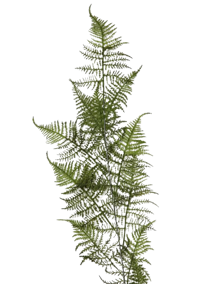 Fern pick green plastic IR 125cm