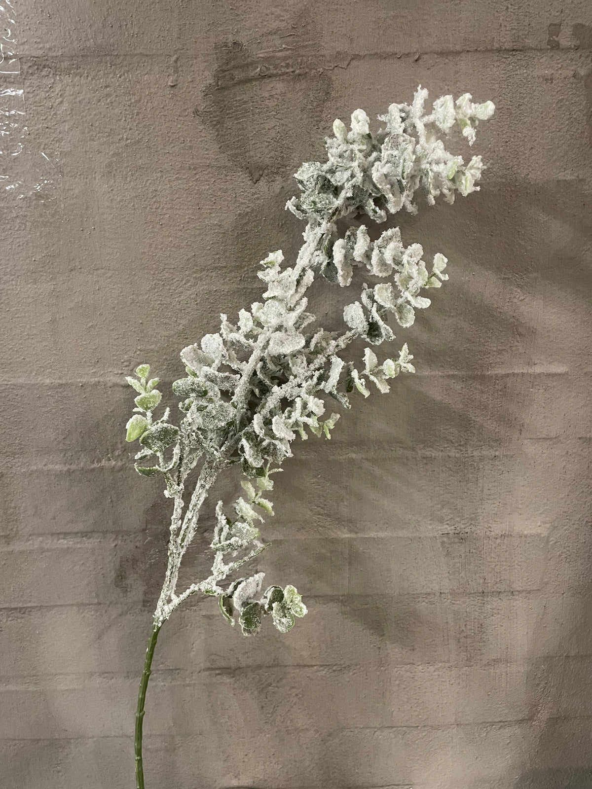 Eukalyptusgren  med sne og glitter 75cm