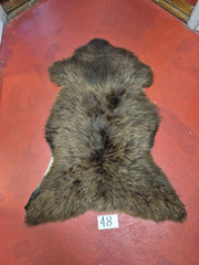 Xl Svensk Brun 48