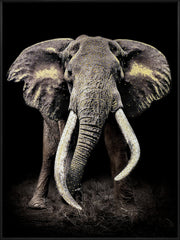 Framed mural elephant 90x120cm