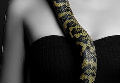 Mural framed Lady with snake 80x120cm