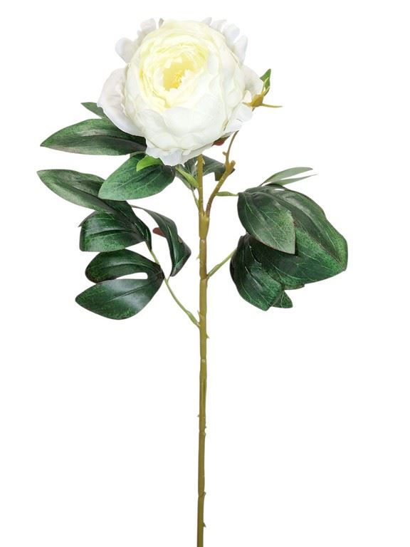 Blomst Pæon hvid 63 cm by Geliu Sala