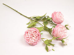 Rosengren Pink 65 cm