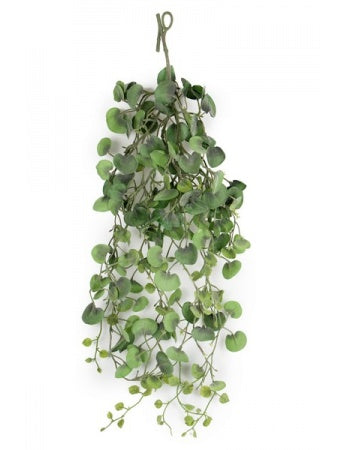 Sølvfald 80 cm.