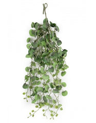 Sølvfald 80 cm.
