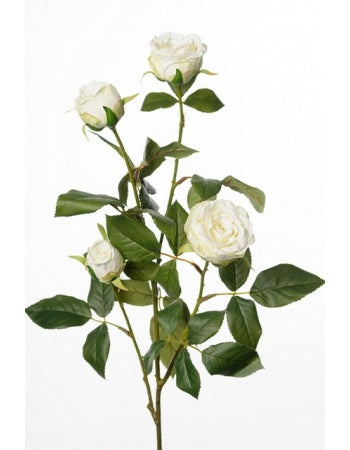 Rose 60 cm. hvid