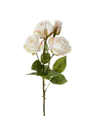Rose 47 cm. hvid