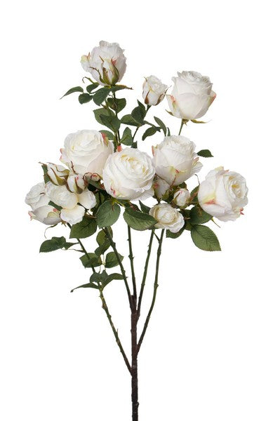 Langstilkede roser hvid 145cm