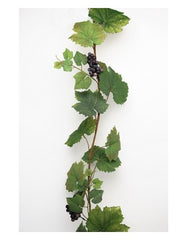 Vinranke 190 cm.