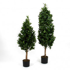 Lorbeerbaum, getopft, 120 cm,grun