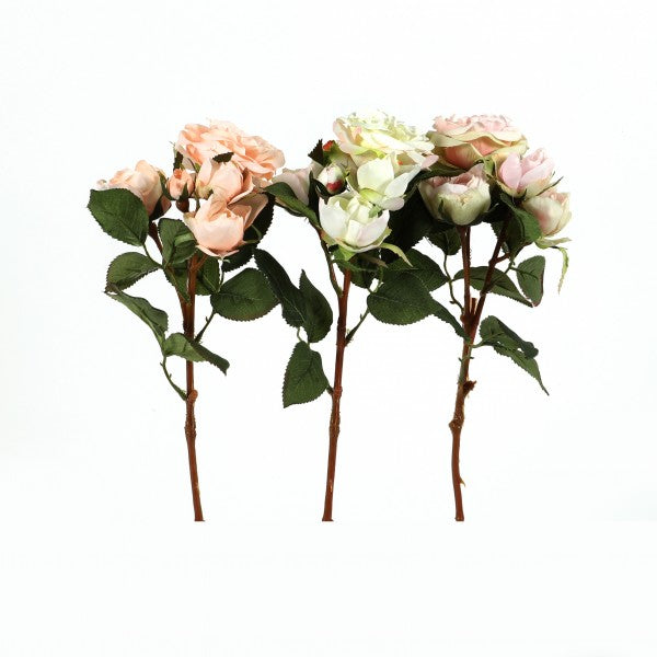 Teerose "Brighton", 39 cm, 2 Bluten3 Knospen weig