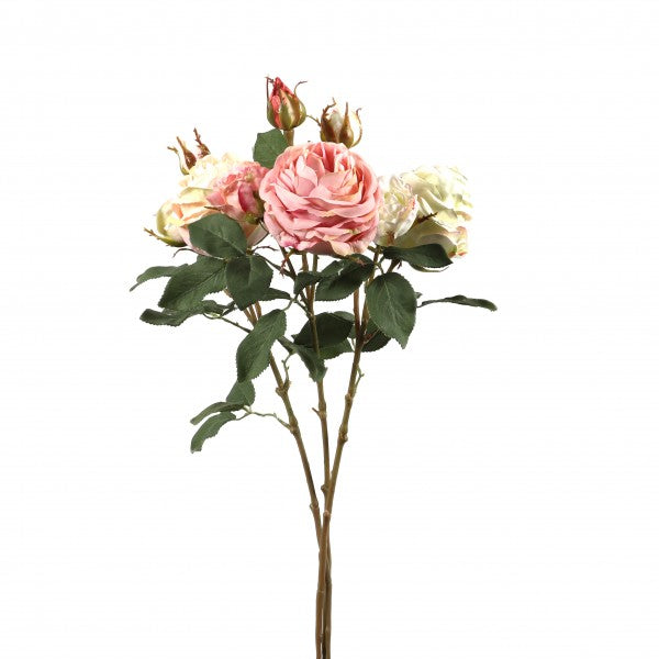 Rose "Cambridge" langstielig, 64 cm2 Bluten, 1 Knospe mauve