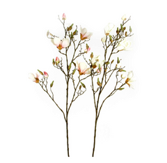 Magnolien-Ast, 109 cm, weig