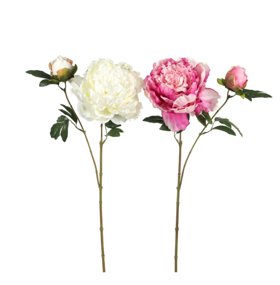 Pfingstrose x 2, 64 cm pink-rosa