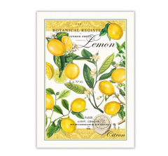 Viskestykke (TOW008) LEMON BASIL