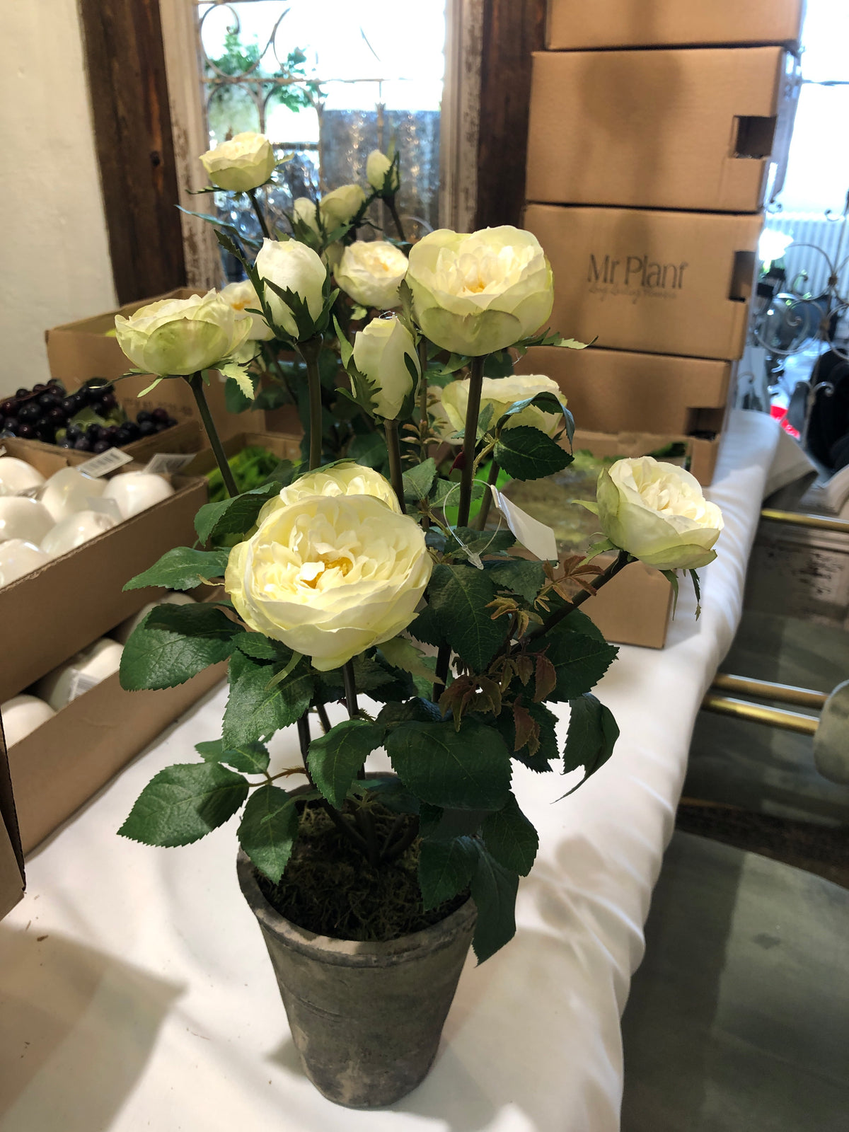 Roser i krukke hvid