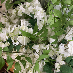 Hvide kunstige blomster