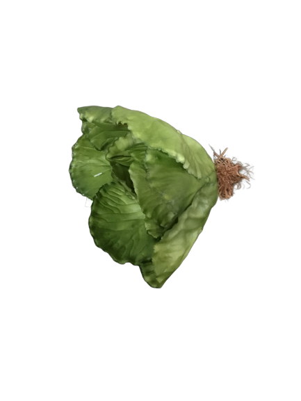 Hovedsalat - 13 cm