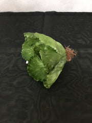 Hovedsalat - 13 cm