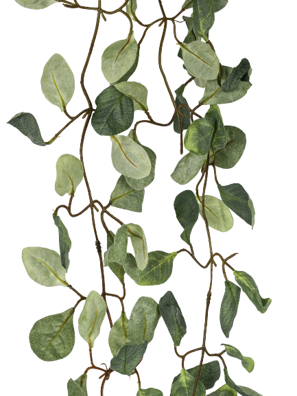 kunstig Hængende eucalyptus
